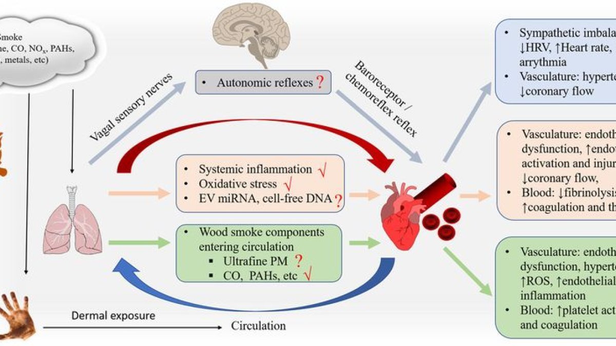 Extreme Heat and Poor Air Quality: A Dangerous Combination for Health