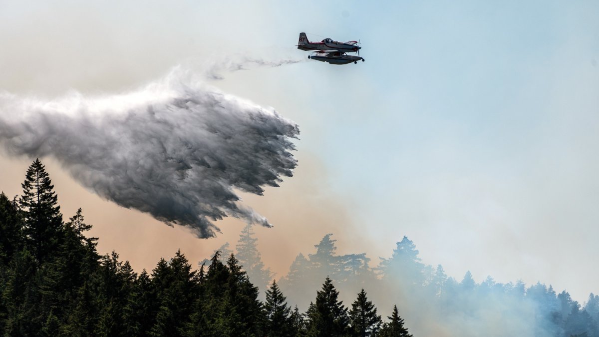 Air Quality Alerts Issued Across 17 US States Amid Canadian Wildfire Smoke