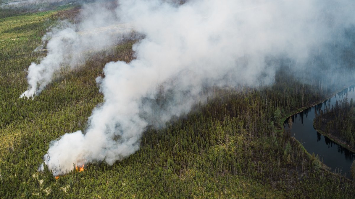 Wildfire Smoke Worsens US Air Quality: Understanding the AQI Scale