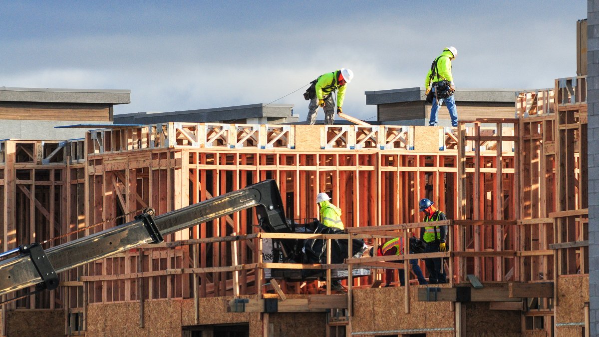 British Illegal Immigrant Shot Dead in US Amid $70,000 Construction Scam Dispute