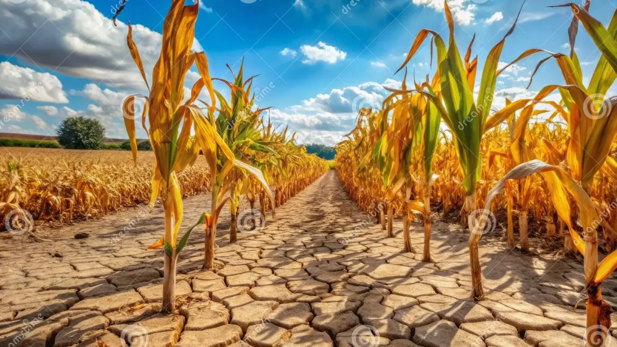 Summer Journey Across Southern England Reveals Landscape Changes Amidst Heatwave