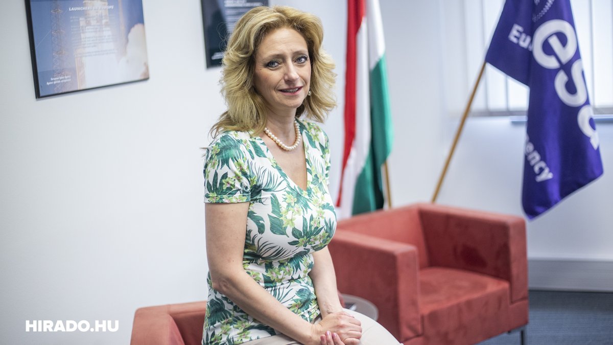 FDP Politician Calls for German Policy Shift on Immigration, Talent Retention